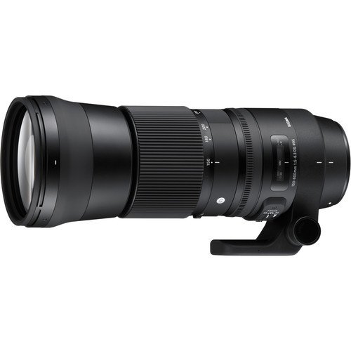SIGMA 150-600mm F5-6.3 DG OS HSM キャノンEF Sigma 150-600mm f/5-6.3 DG OS HSM C Canon EF ( Ön Sipariş