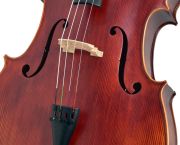 Valler CL433 4/4 Masif - Mat Cilalı Çello
