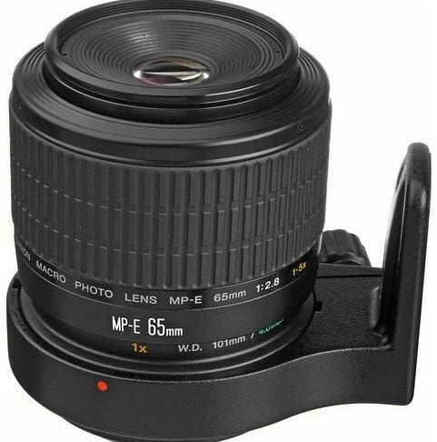 Canon MP-E 65mm f/2.8 1-5x Macro Lens