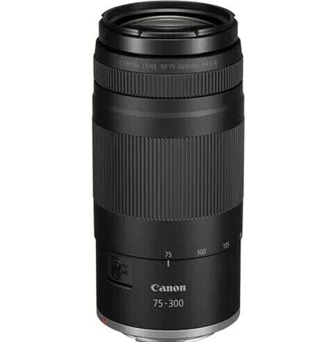 Canon RF 75-300mm f/4-5.6 Lens