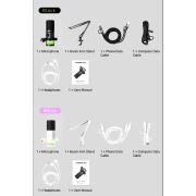 Takstar GX5 USB-C/XLR Siyah Kondenser Mikrofon (Boom Arm Stand)