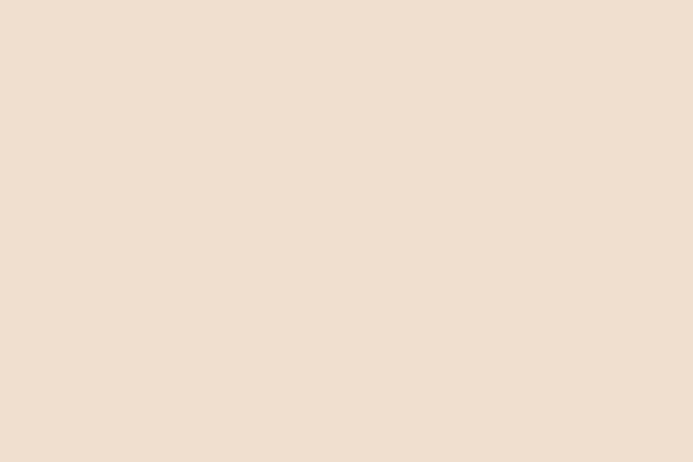 Visico Fawn 2.72 x 11 Metre Fon Kağıdı